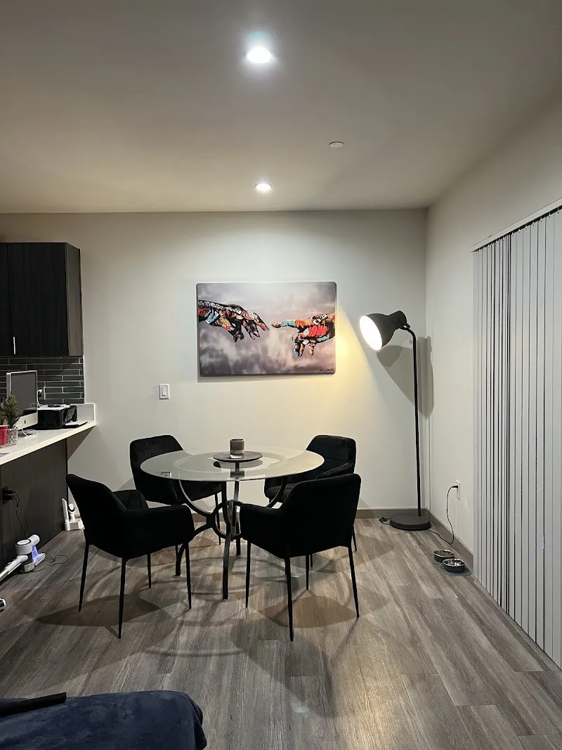 Lucid Recovery - Photo 2